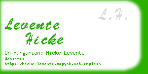 levente hicke business card